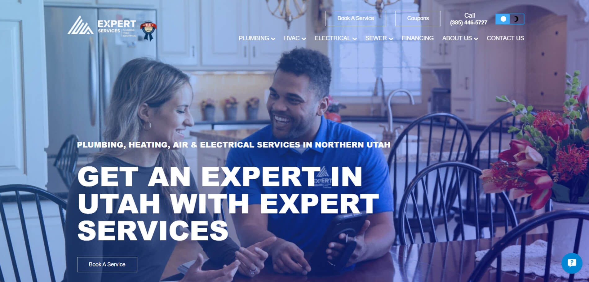 Expert Services